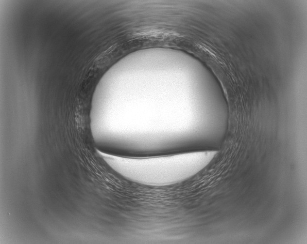 X0000068810869200605050914