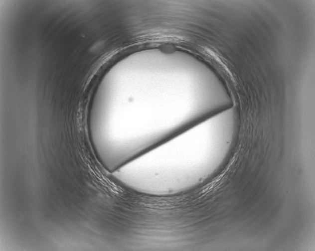 X0000068810875200605050914