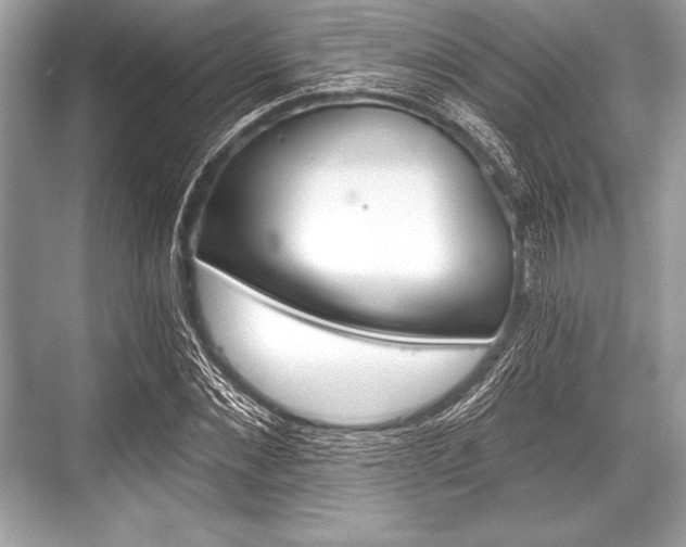 X0000068810876200605050914