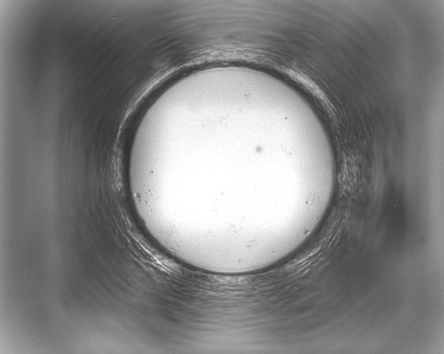X0000068810878200605050914