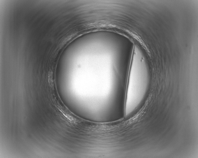 X0000068810881200605050914