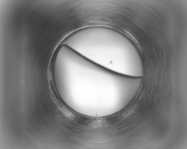X0000068810891200605050914