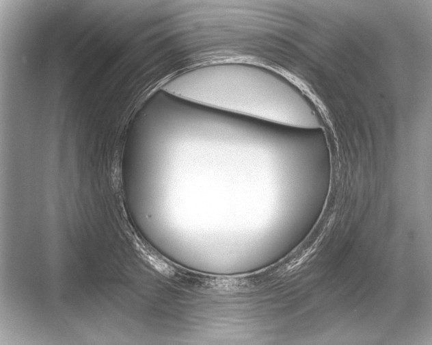 X0000068810897200605050913