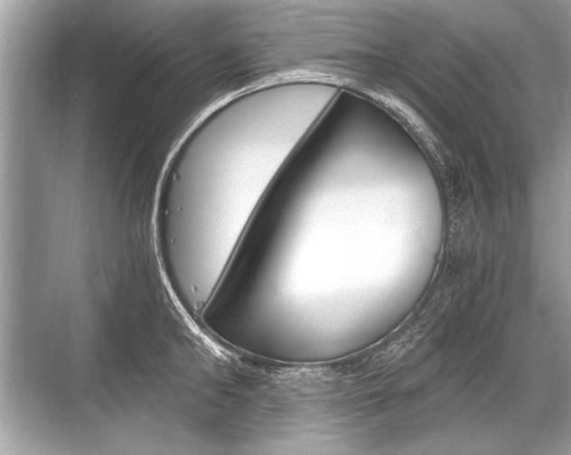 X0000068810902200605050913