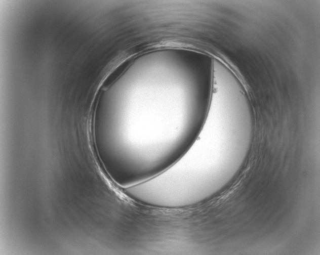 X0000068810909200605050913