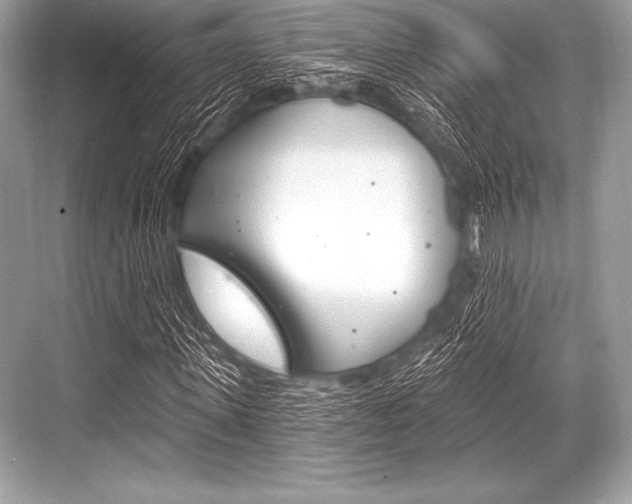 X0000068810915200605050912
