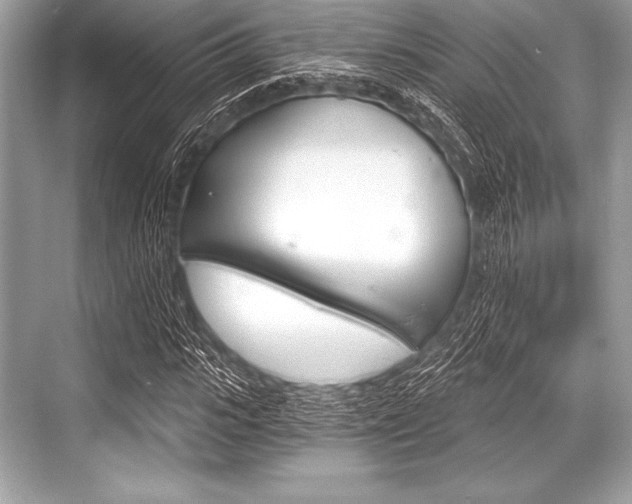 X0000068810919200605050912