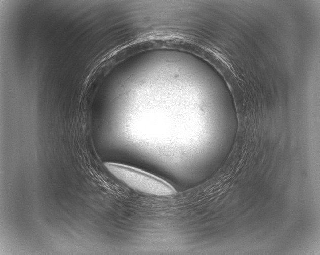 X0000068810920200605050912