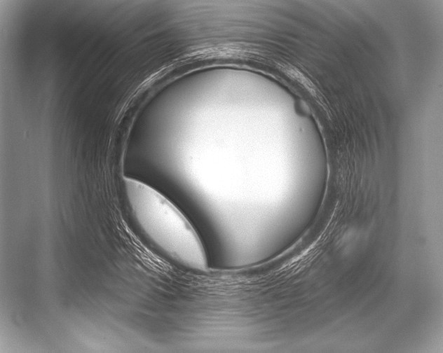 X0000068810922200605050912