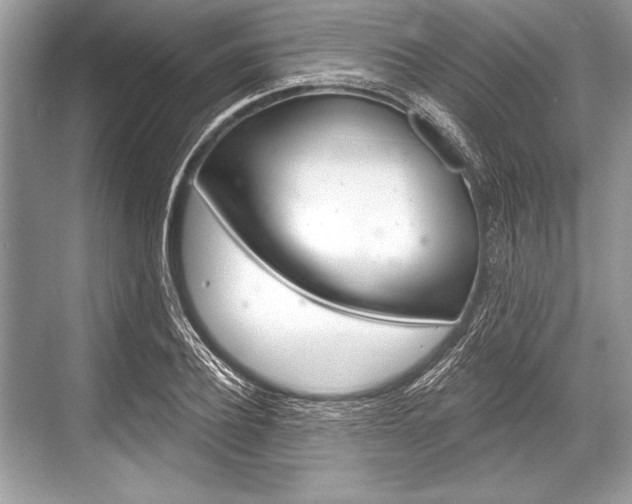X0000068810932200605050913