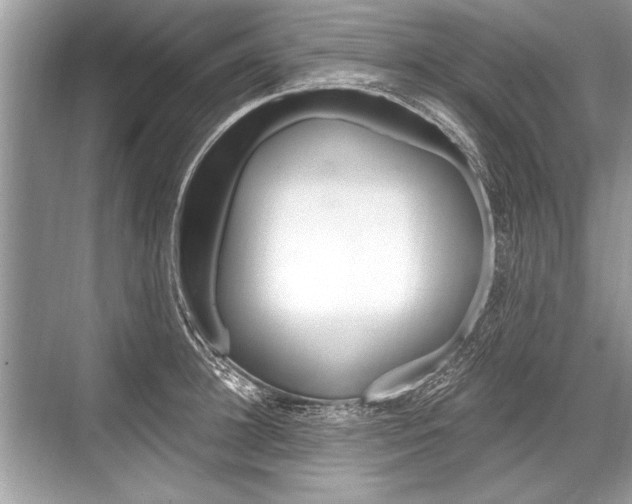 X0000068810948200605050913