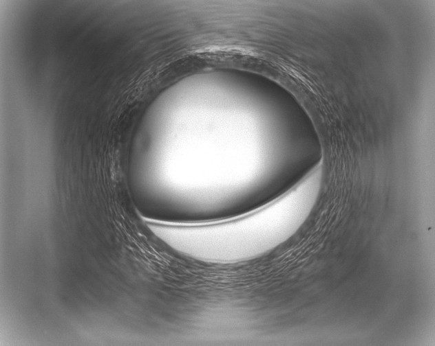 X0000068810965200605050912