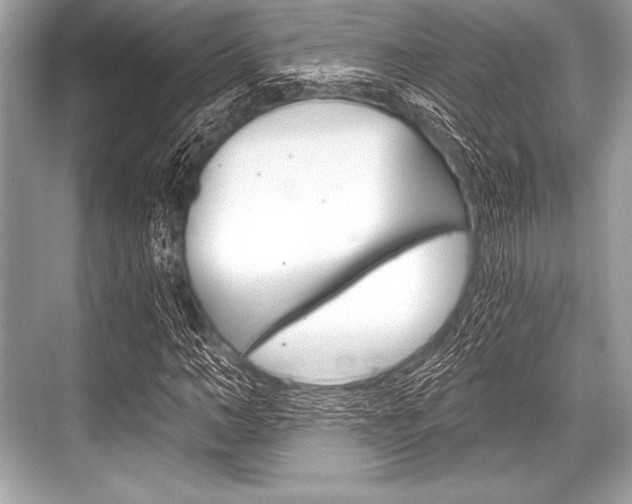X0000068810966200605050912