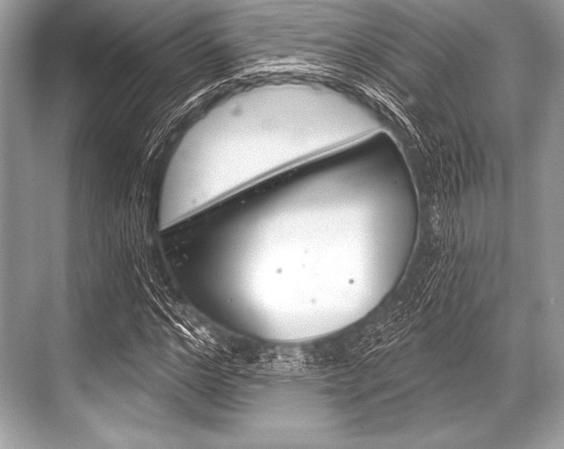 X0000068810968200605050912