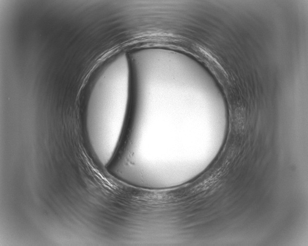 X0000068810970200605050912