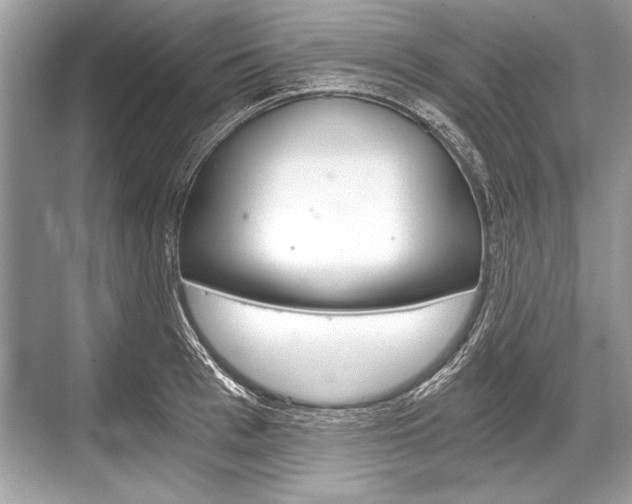X0000068810993200605050912