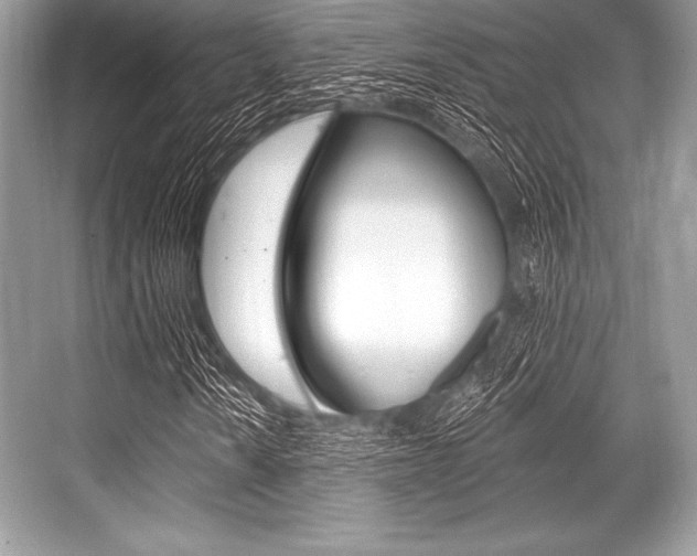 X0000068811010200605050911