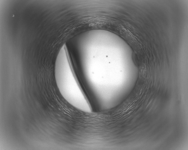 X0000068811012200605050911