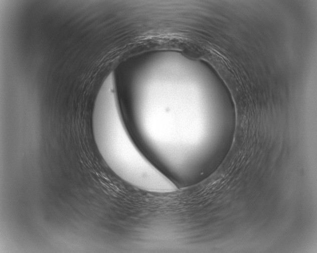 X0000068811014200605050911