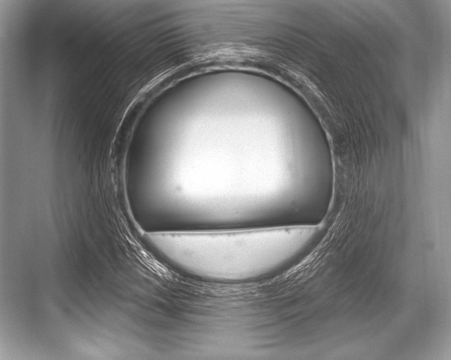 X0000068811018200605050911