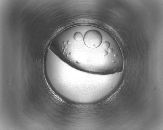 X0000068811033200605050911