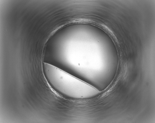 X0000068811041200605050911