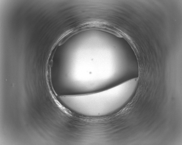 X0000068811042200605050911