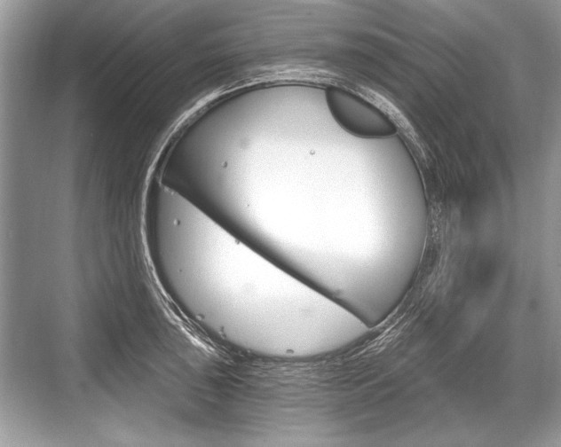 X0000068811043200605050911