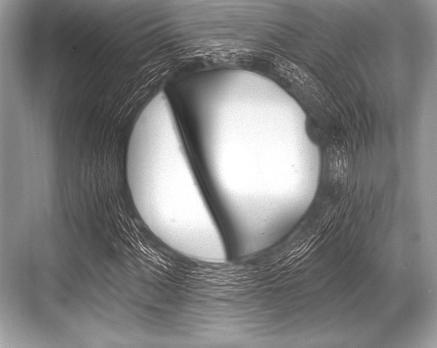 X0000068811060200605050911
