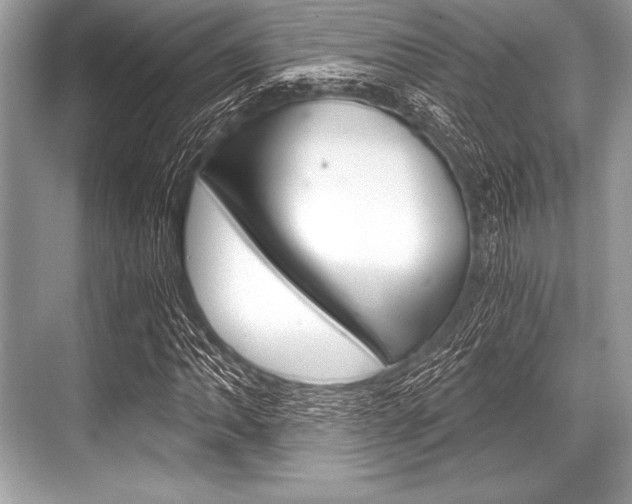 X0000068811062200605050911