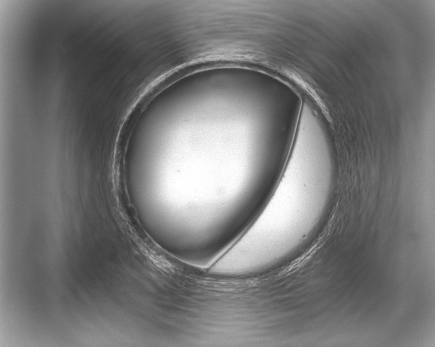 X0000068811077200605050910