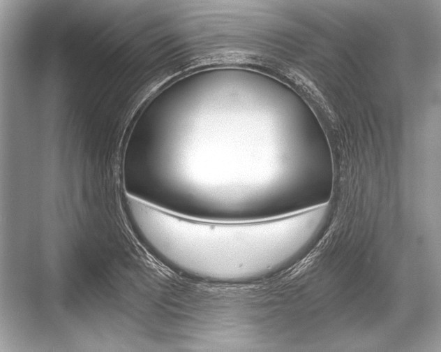 X0000068811081200605050910