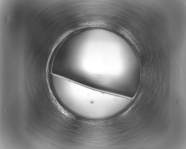 X0000068811082200605050910