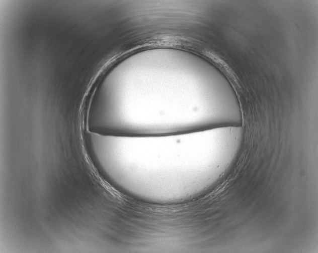 X0000068811083200605050910