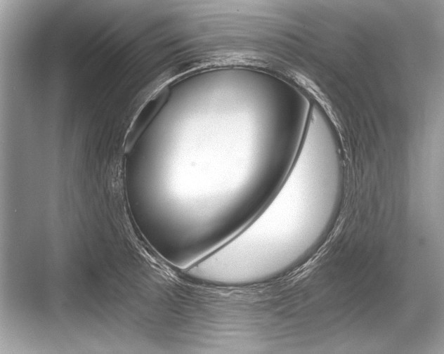 X0000068811089200605050910