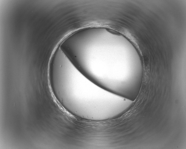 X0000068811096200605050910