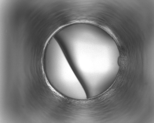 X0000068811100200605050910