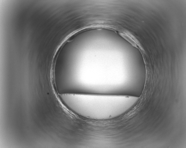 X0000068811101200605050910