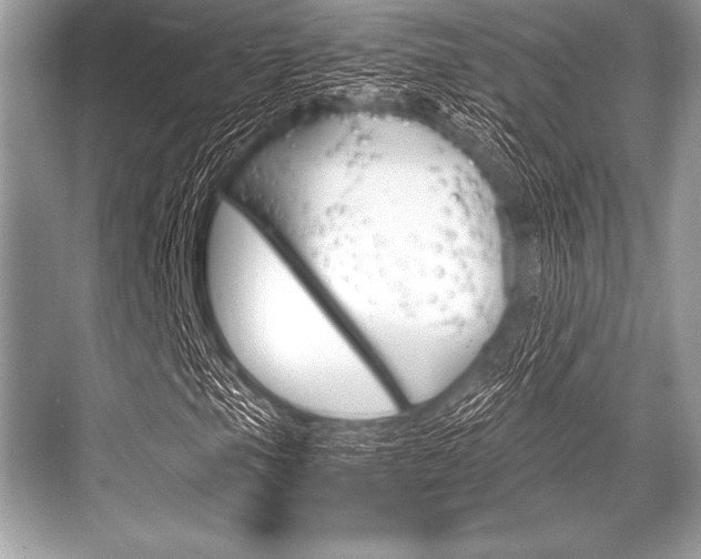 X0000068811105200605050909