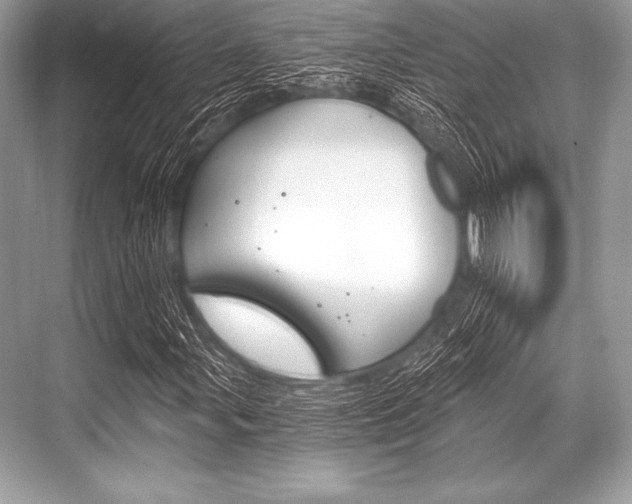 X0000068811107200605050909
