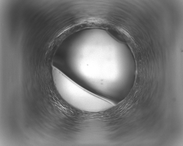 X0000068811112200605050909
