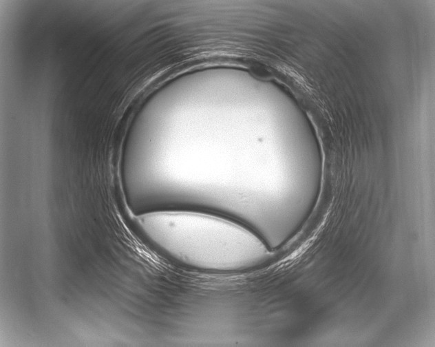 X0000068811113200605050909