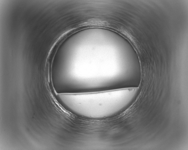 X0000068811123200605050909