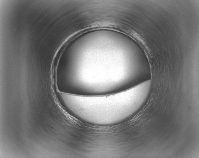 X0000068811124200605050909