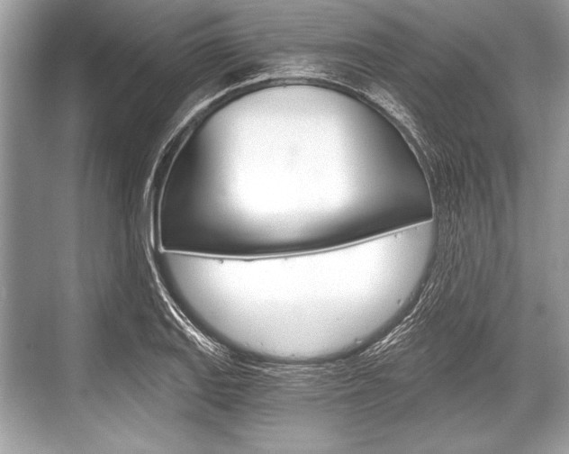 X0000068811127200605050909
