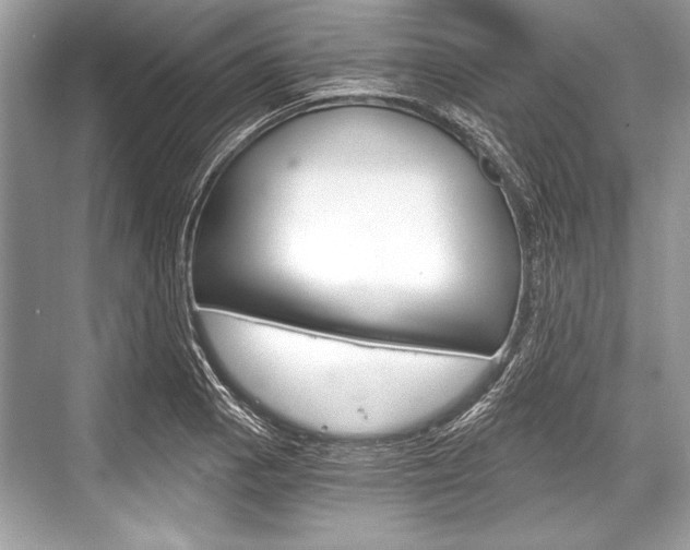 X0000068811129200605050910