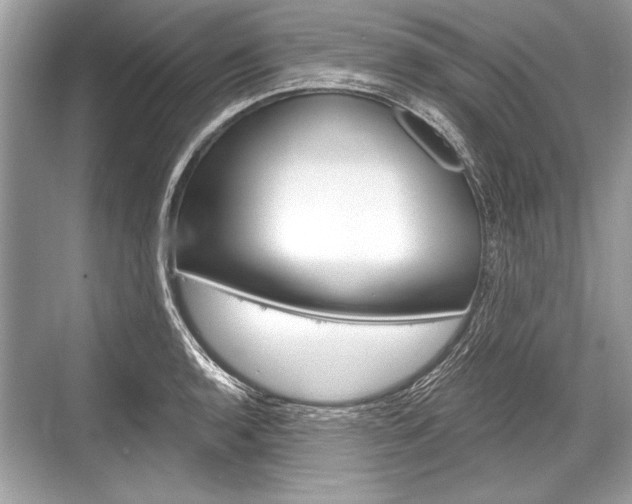 X0000068811136200605050910