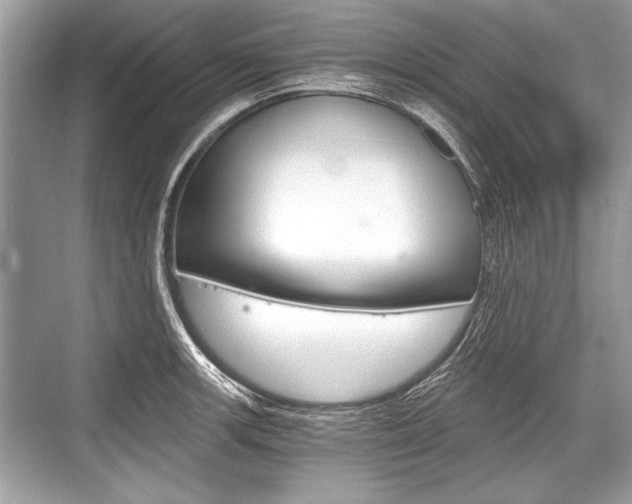 X0000068811139200605050910