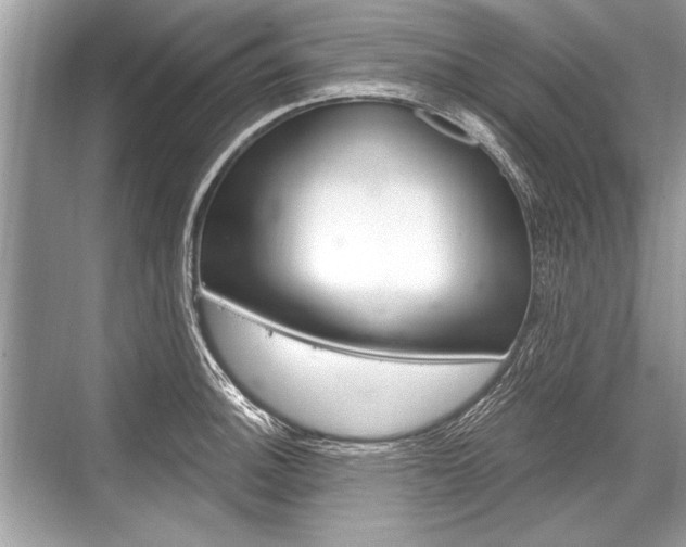 X0000068811140200605050910