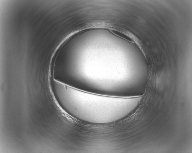 X0000068811147200605050910